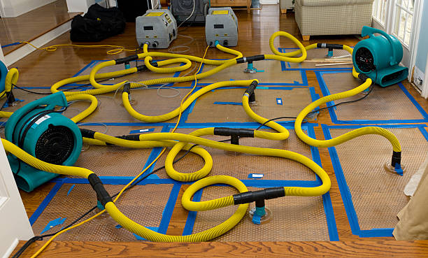 Professional Storm Water Damage Restoration technician working in Barry, TX