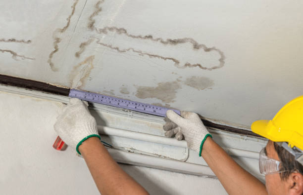 Affordable Water Damage Repair solutions in Barry, TX